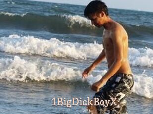 1BigDickBoyX