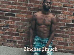 2inches_2much