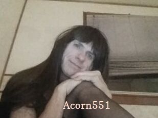 Acorn551
