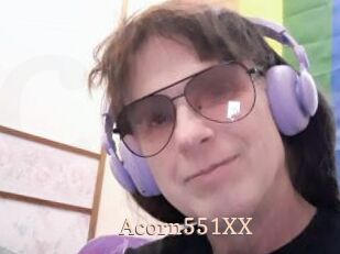 Acorn551XX