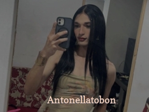Antonellatobon