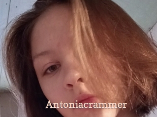 Antoniacrammer