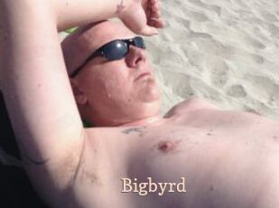 Bigbyrd