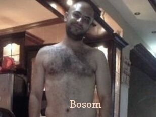 Bosom