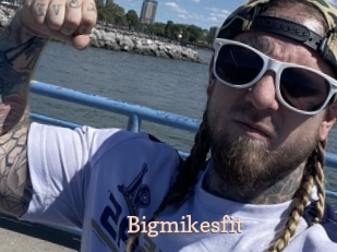 Bigmikesfit