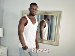 Bigsanty
