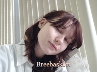 Breebaskett