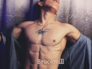 Brucemill