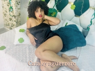 Cataleyaguerrero