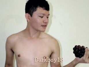 Darkboy18