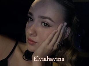 Elviahavins