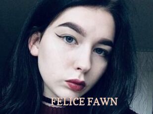 FELICE_FAWN