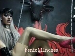 Fenix11Inches