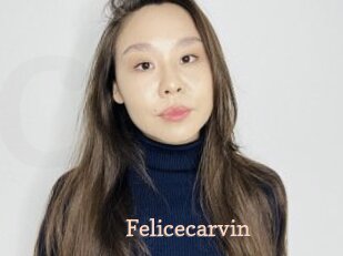 Felicecarvin