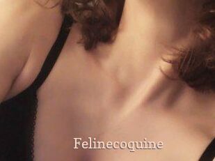 Felinecoquine