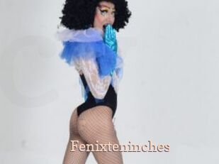 Fenixteninches
