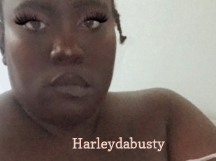 Harleydabusty