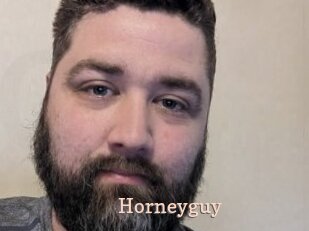 Horneyguy