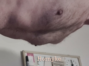 Hornyke