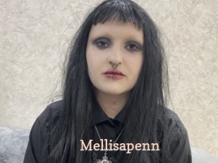 Mellisapenn