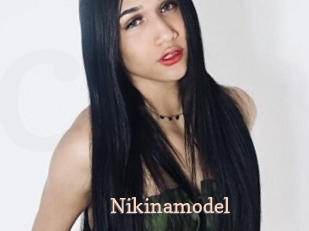 Nikinamodel