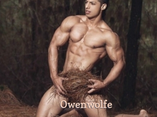 Owenwolfe