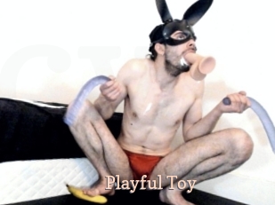 Playful_Toy