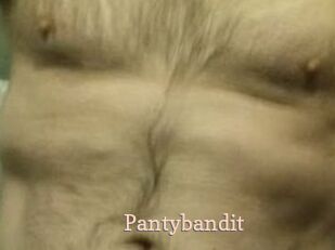 Pantybandit