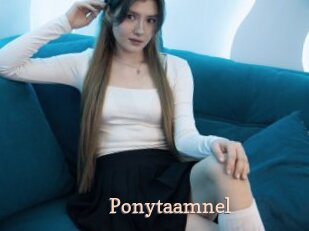 Ponytaamnel