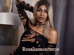 Rosaliamonteros