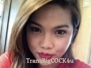 TransBigCOCK4u