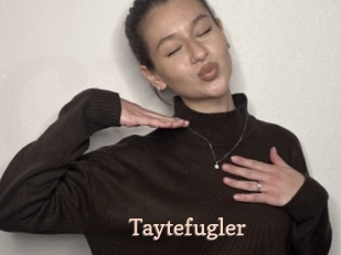 Taytefugler