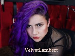 VelvetLambert