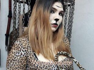 VenusDomme