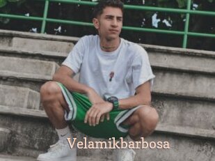 Velamikbarbosa