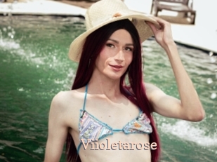 Viioletarose