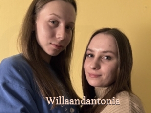 Willaandantonia